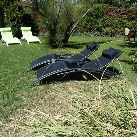 Des Amandiers Hotel Graveson